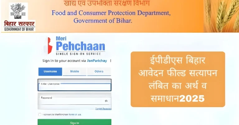 सत्यापन